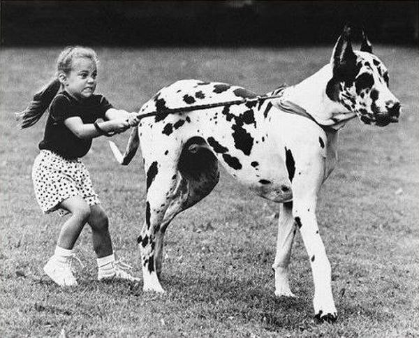 Irina Dior | Москва