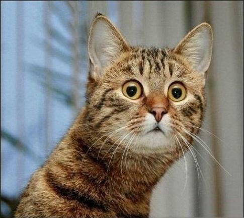 Андрей Topsecret [izlow] | Санкт-Петербург