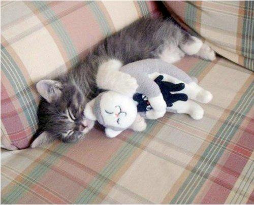 Ольга Чернецкая | Таврийск