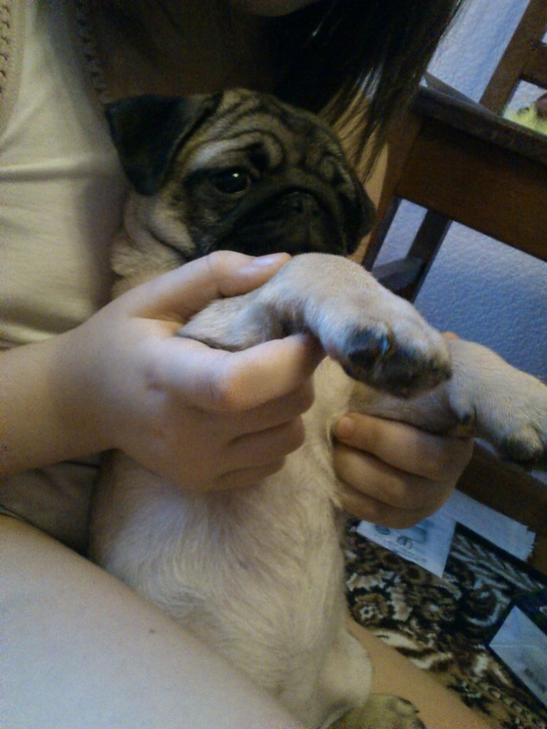 Галина Войнова | Апатиты