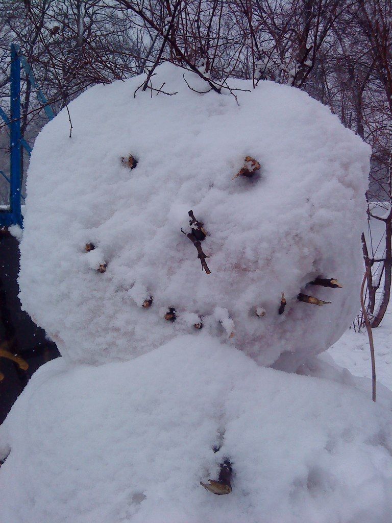 Дмитро Дядюн | 