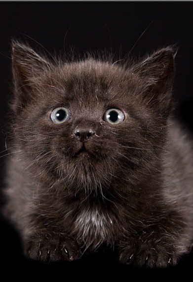 Любовь Берестнева | Санкт-Петербург