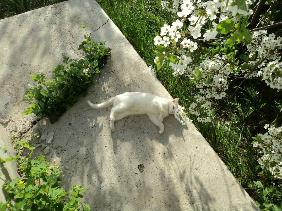 Тимур Ахметов | Казань