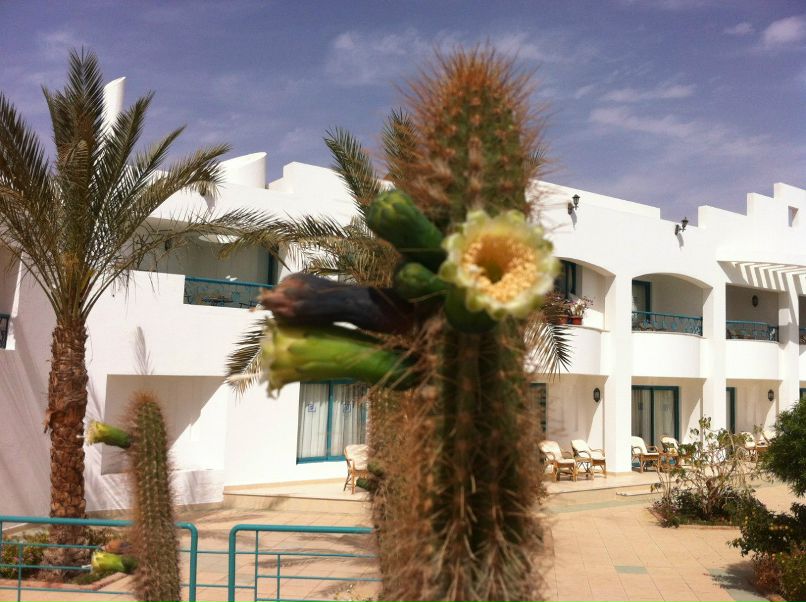 Екатерина Винивитина | Воронеж