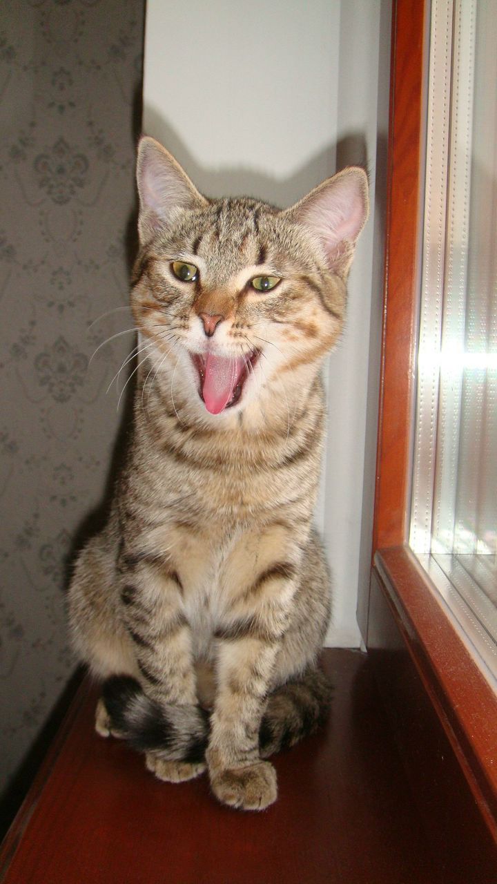 Лариса Филиппова | Магнитогорск