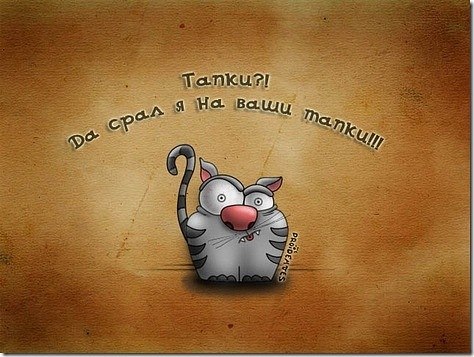 Сергей Кучерявый | Фастов