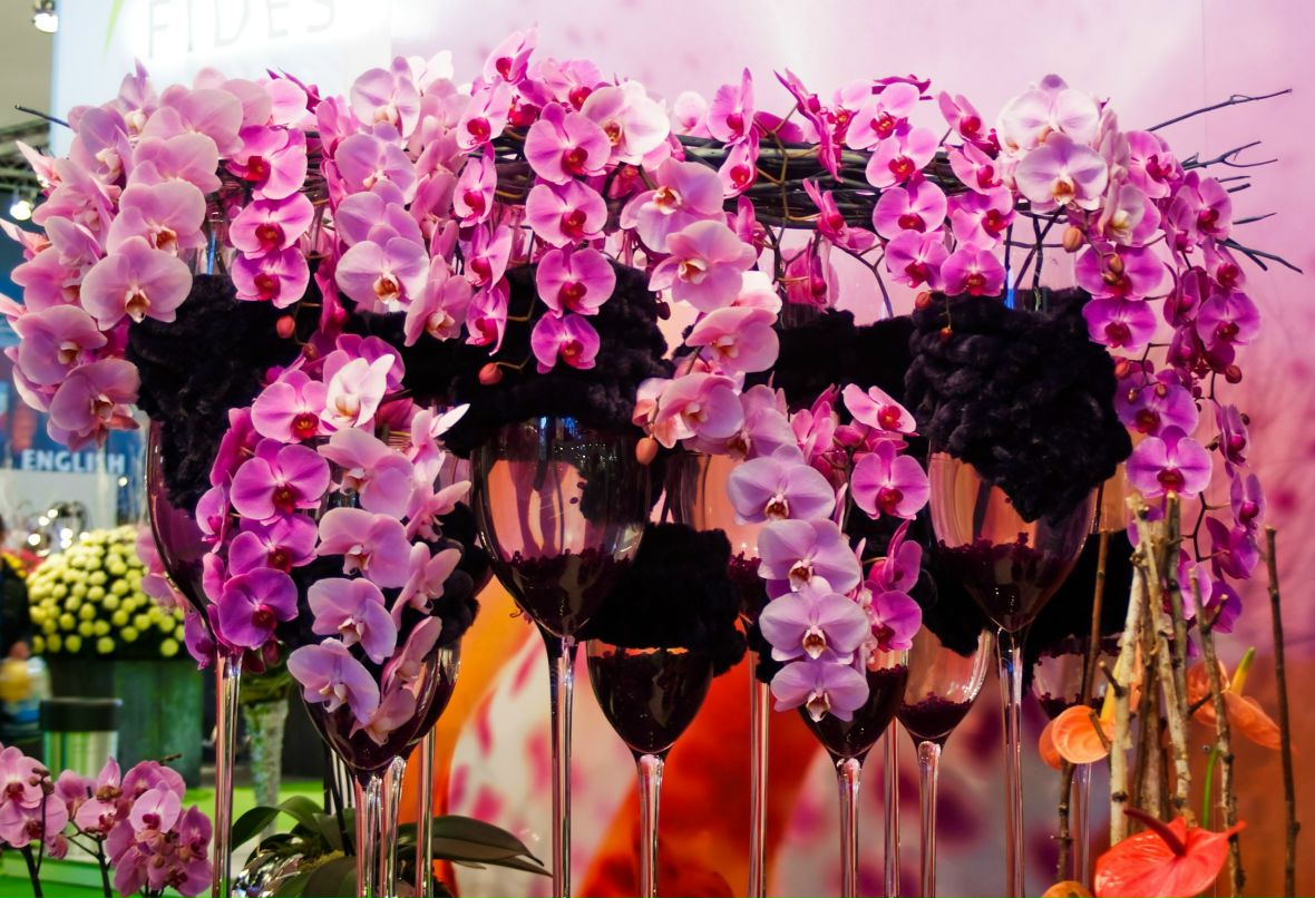 Vita Korniyenko | Белая Церковь