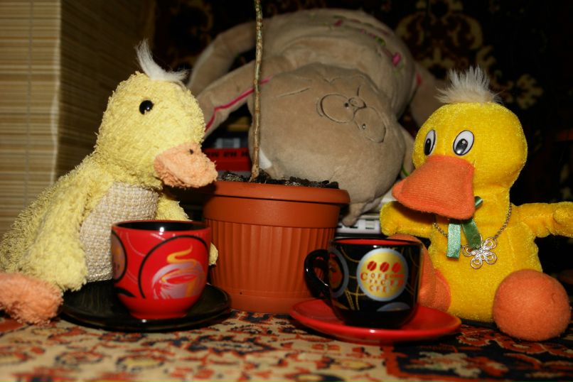 Утко Мочалко | Астрахань