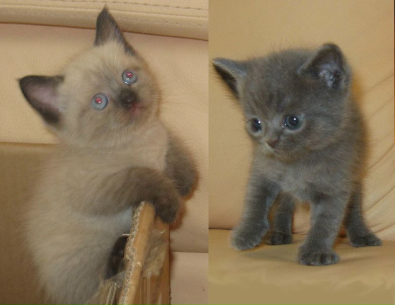 №2, Ольга Михеева, Санкт-Петербург №2, Ольга Михеева, Санкт-Петербург