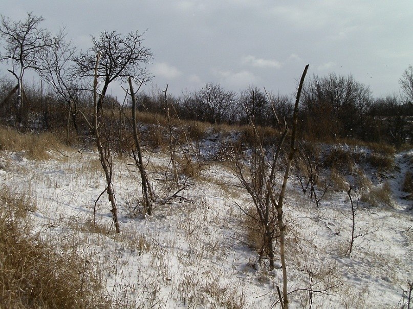 Михайло Сорокін ТROY | Кагарлык