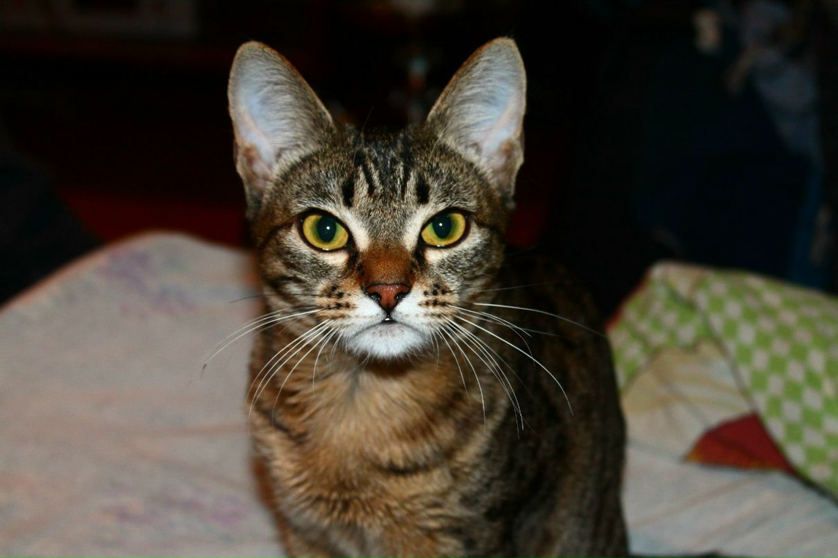 Саша Бушуев | Челябинск