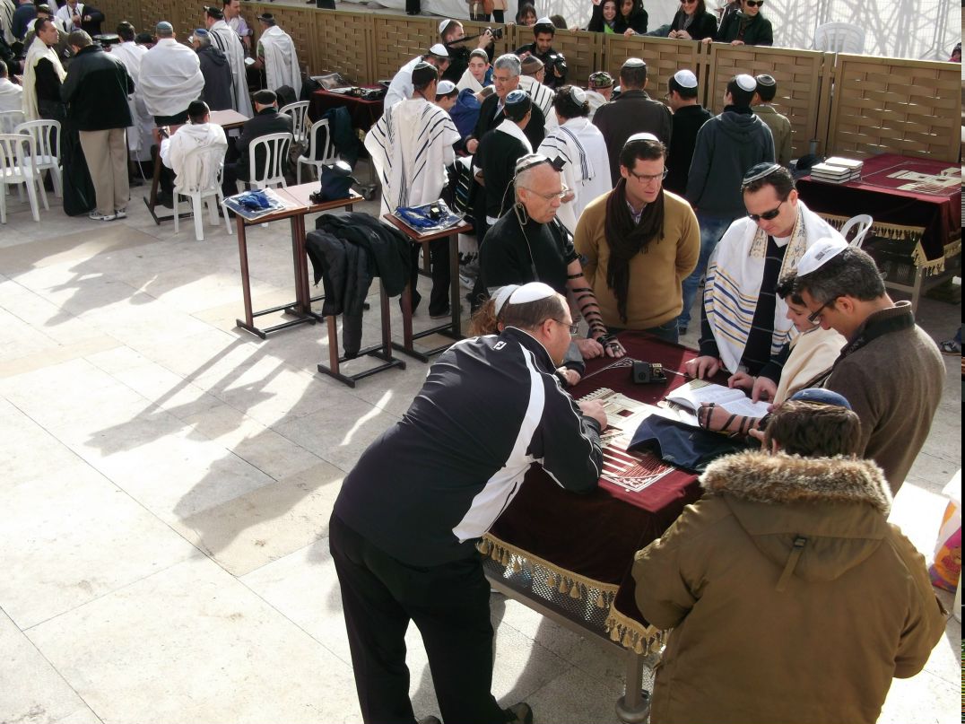 Ирина Трифонова | Санкт-Петербург