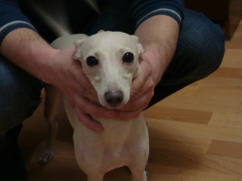 Игорь Борисенко | Киев