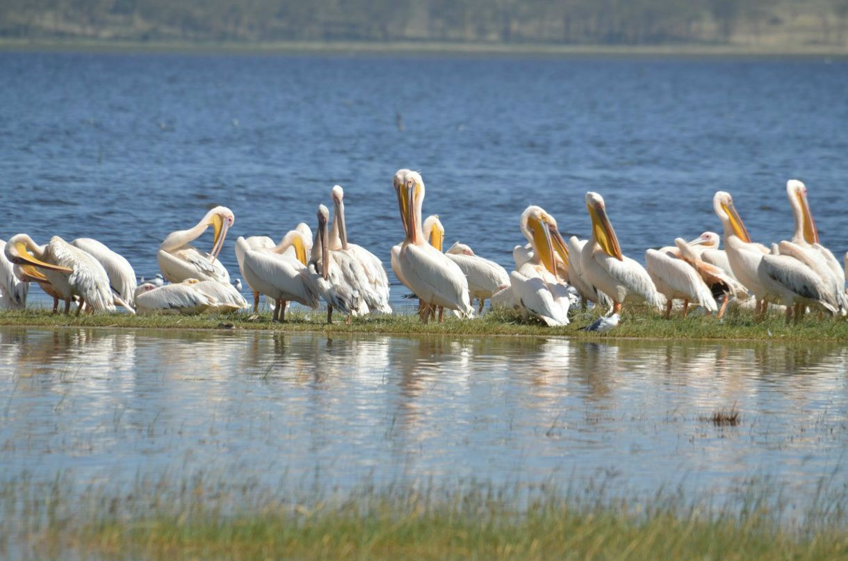 Александра Байбекова | Москва