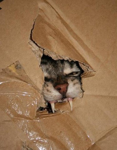 Наталья Матвеюк | Praha