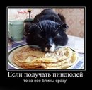 Татьяна Черрипицца, Краснодар, Россия, 01.03