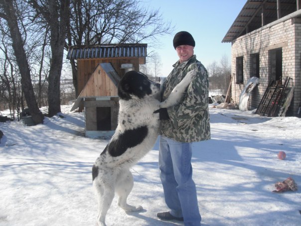 №165, Василий Шалыга, 42 года, New York City №165, Василий Шалыга, 42 года, New York City