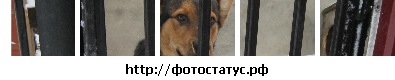 №23, Тарас Каліщук, 32 года, Губин №23, Тарас Каліщук, 32 года, Губин
