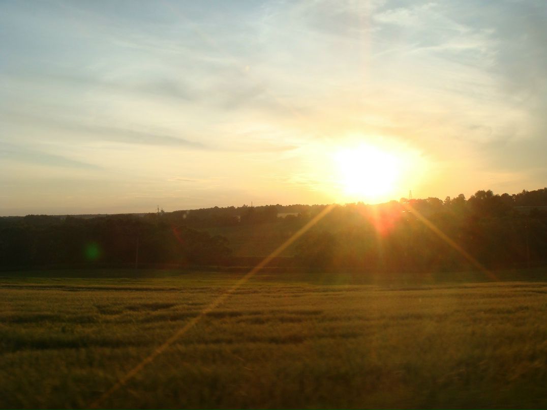 Мария Гуляева | Домодедово