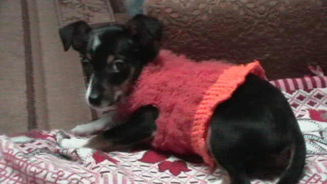 Стелла Юсупова | Черневцы