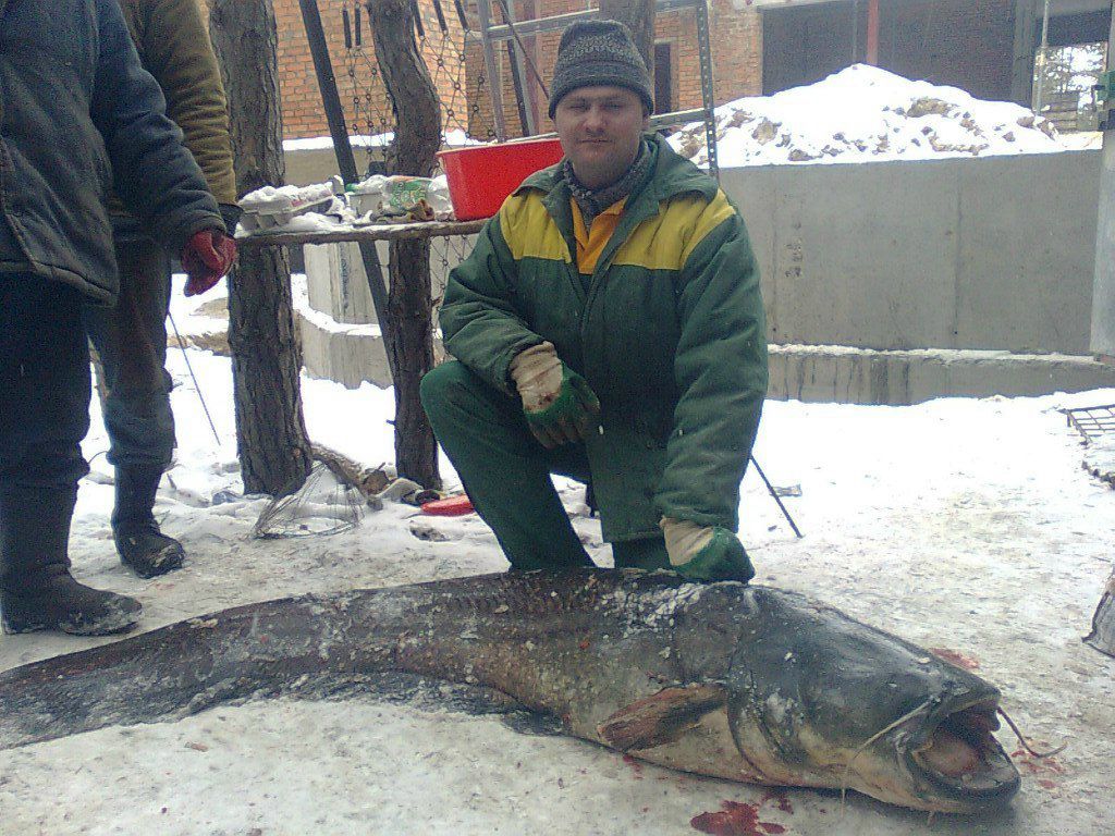 Андрей Шуляк | Киев