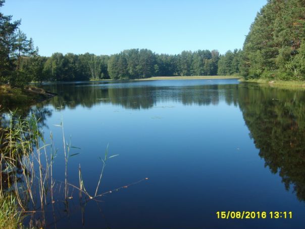 №66, Вячеслав Киреев, Санкт-Петербург №66, Вячеслав Киреев, Санкт-Петербург