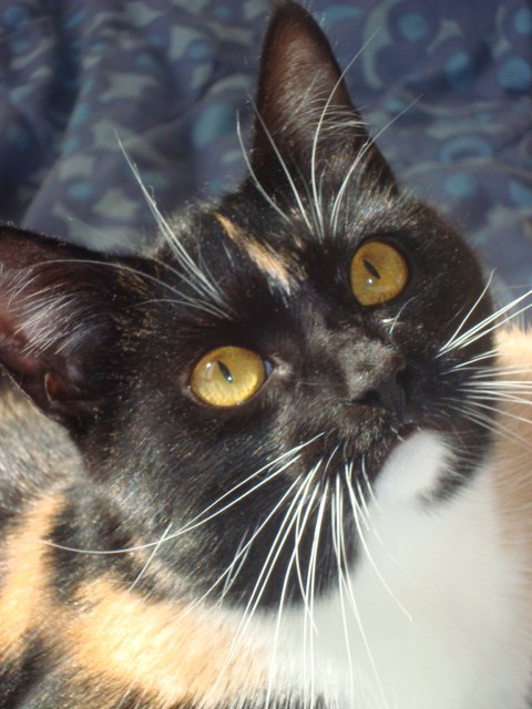 Галина Ездина | Санкт-Петербург