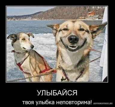 Дмитрий Феоктистов | Ульяновск