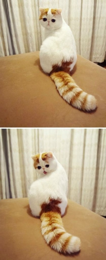 Оля Новикова | 