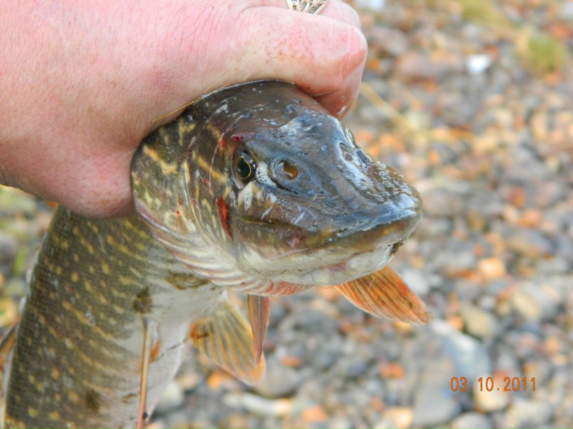 Леонид Автушко | Красноярск