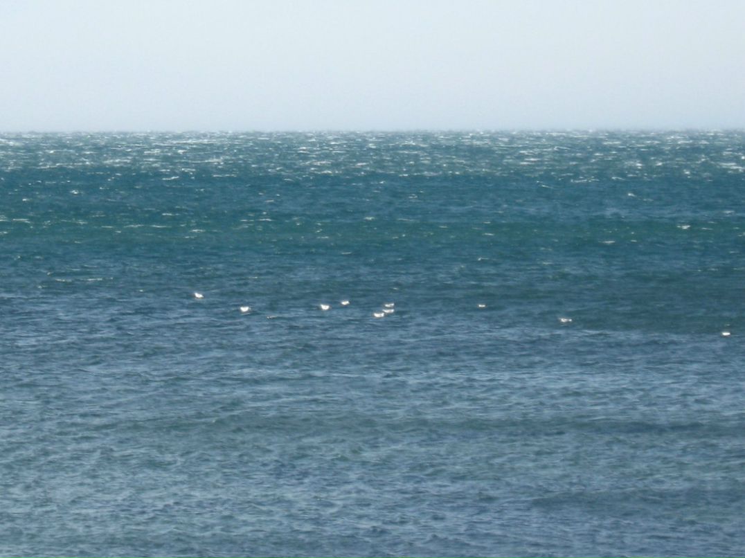 Алексей Беспалов | Екатеринбург