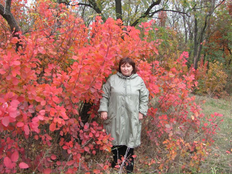 №69, Елена Волкова, Каменск-Шахтинский №69, Елена Волкова, Каменск-Шахтинский