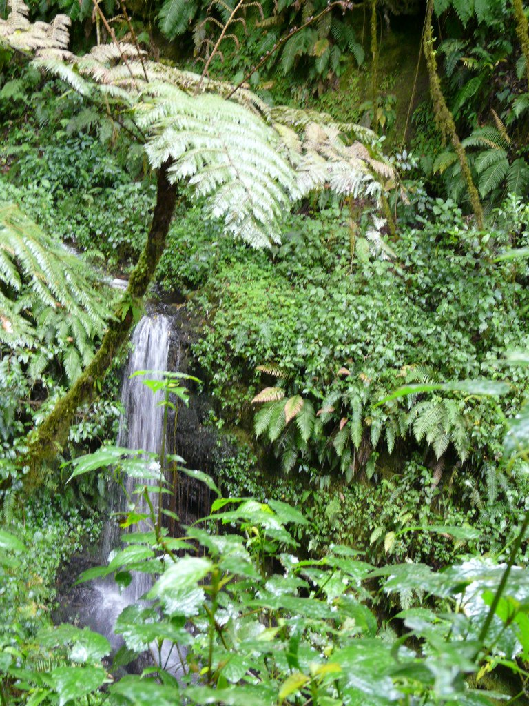 Елена Дунина | Краснодар