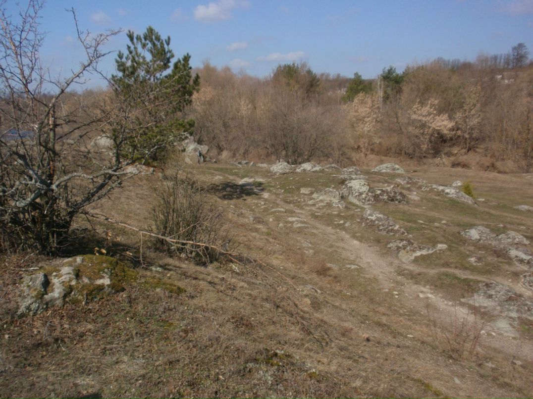 Борис Блаженний | Киев