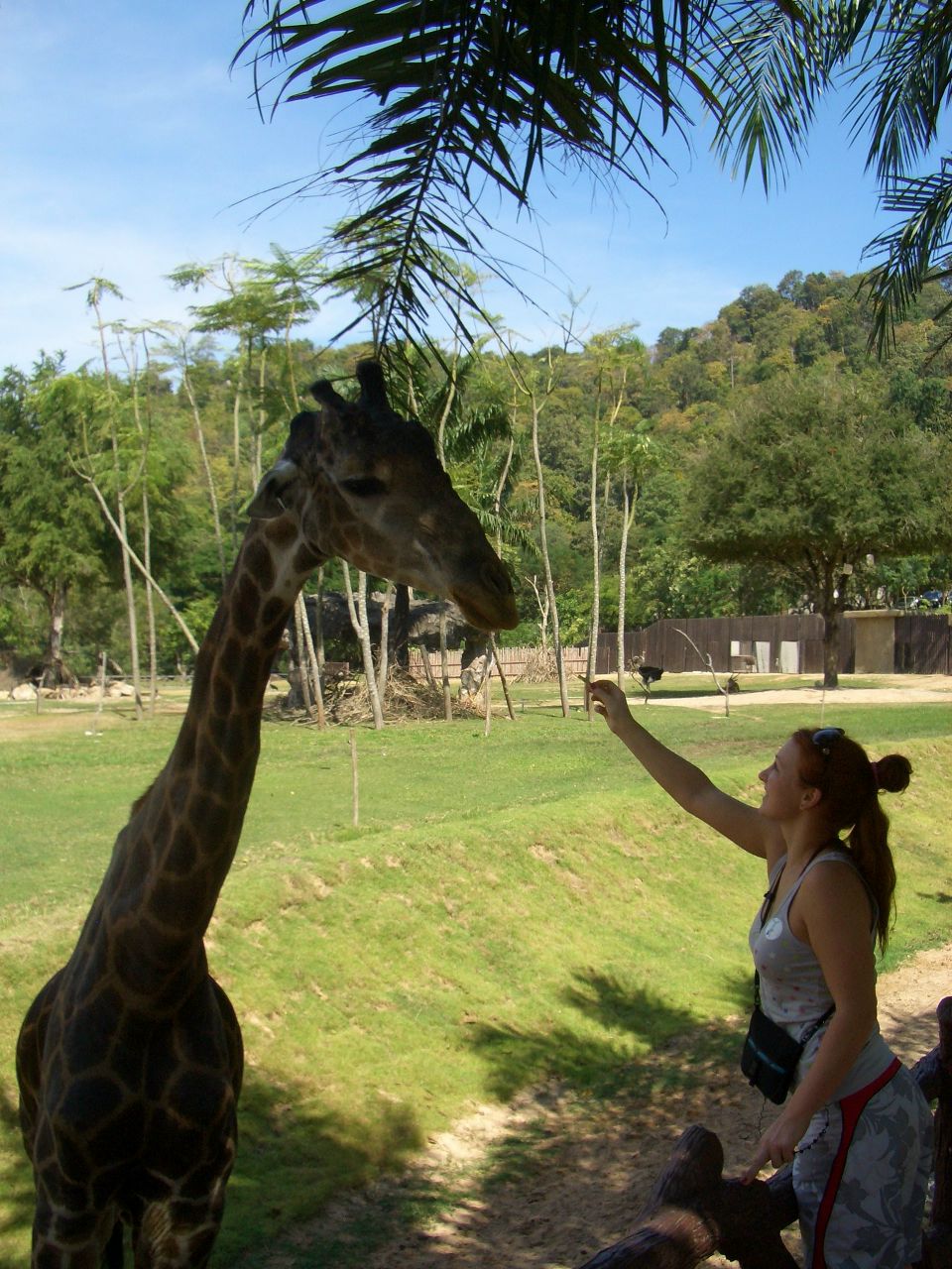 Ольга Янчева | Санкт-Петербург