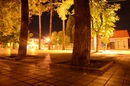 №21 Александр Строев