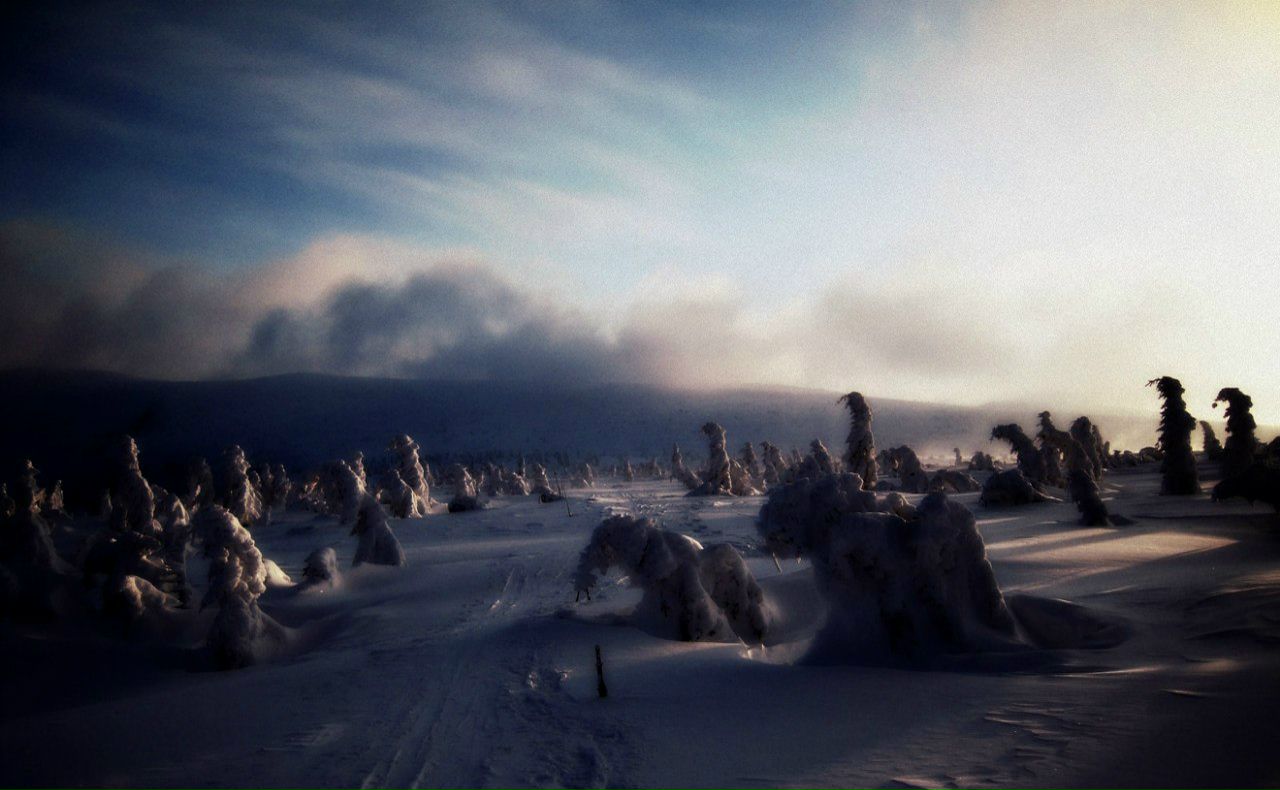 Надежда Вячеславовна | Praha