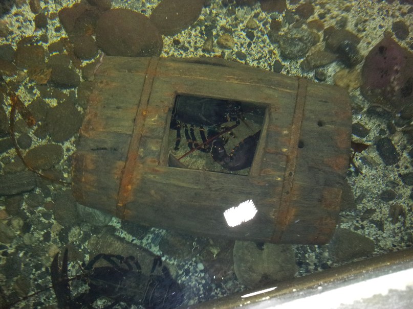 Ирина Дежан | Санкт-Петербург