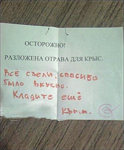 №97, Елена Гомулина, 42 года, Санкт-Петербург №97, Елена Гомулина, 42 года, Санкт-Петербург