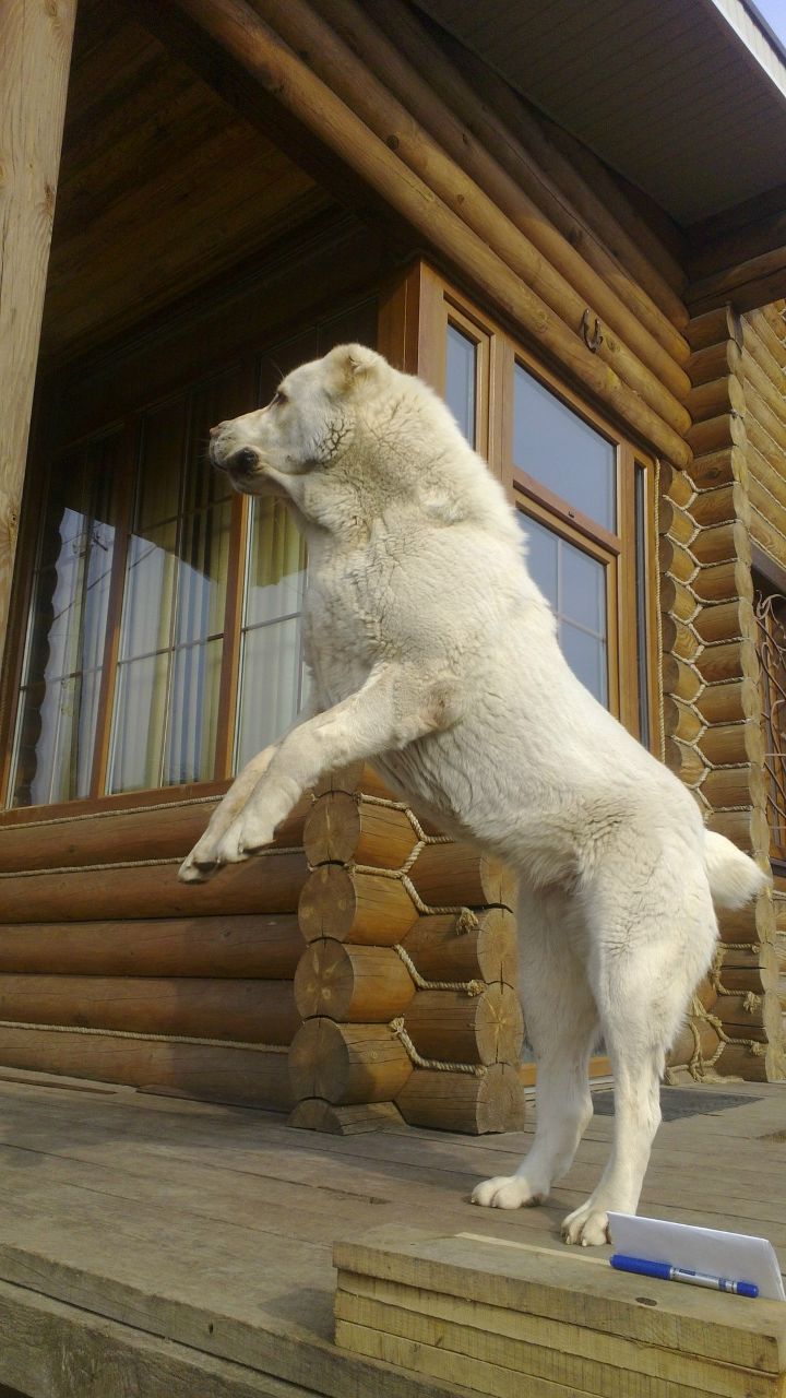 Gleb Gleb GLEBUS | Москва