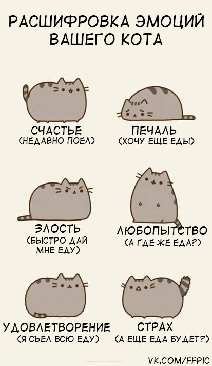 Сергей Мищенко ₪ | Симферополь