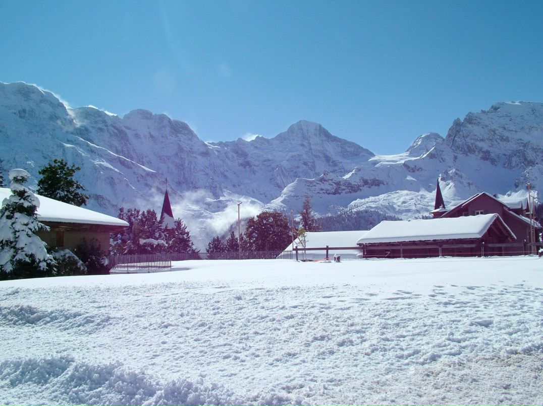 Екатерина Тимофеева | 