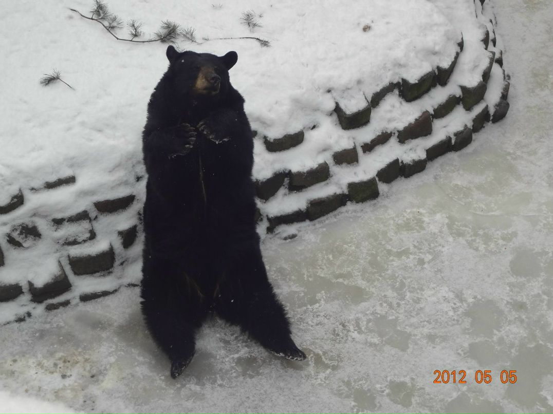 Денис Карповец | Калининград