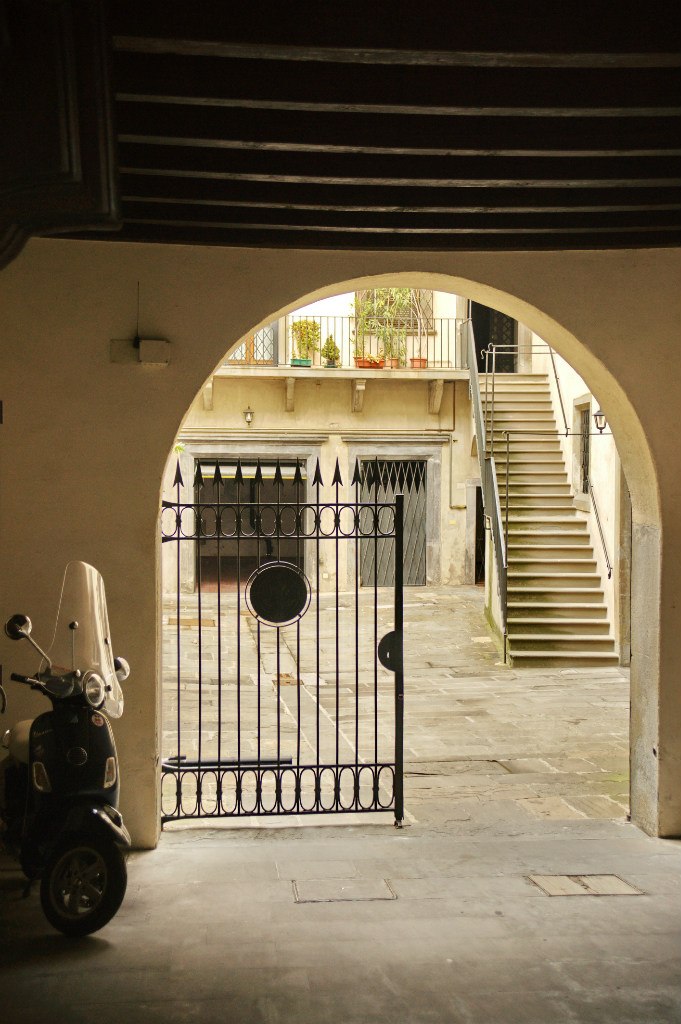 Михаил Васильев | Санкт-Петербург