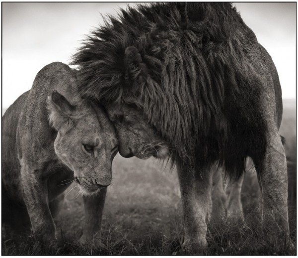 Димон Андреев | 