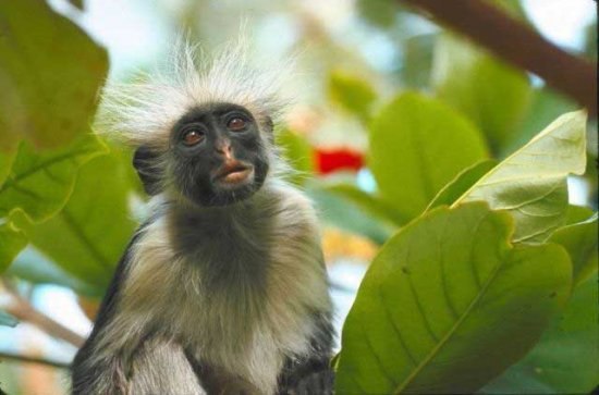 Сергей Заяц lamile | 