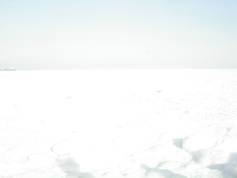 Леша Шевченко BMW™ | Одесса