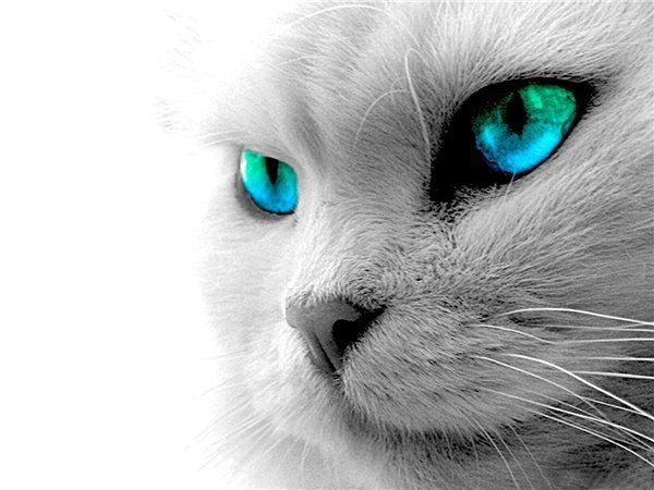 Михаил Баранников | Луганск