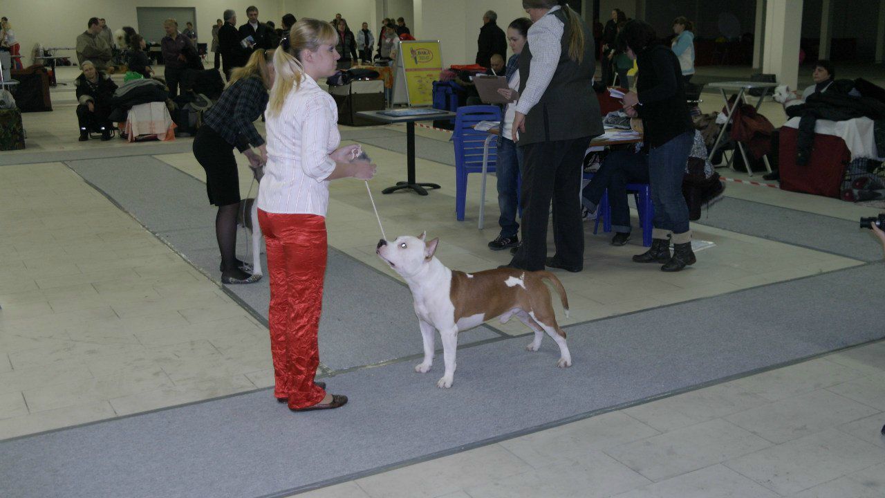 Юлия Шкодина | Санкт-Петербург