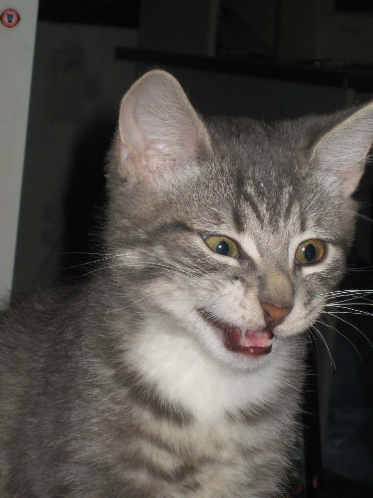 Татьяна Рыбакова | Кохтла-Ярве